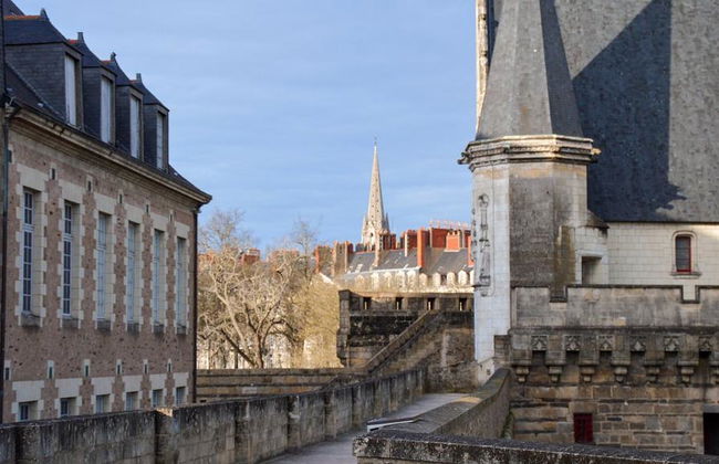 Recorrido a pie privado por Nantes - Foto 2